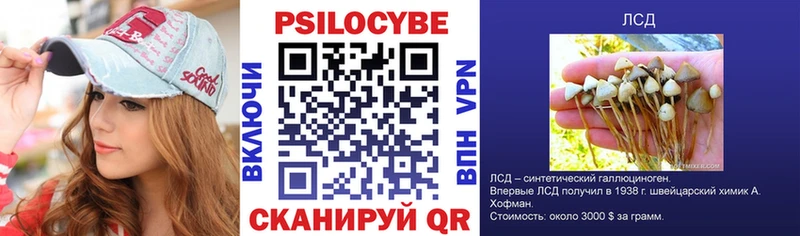 наркотики  Лобня  Псилоцибиновые грибы Cubensis 
